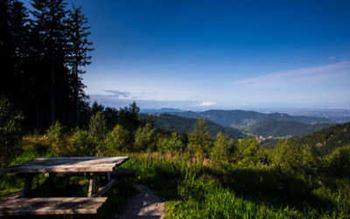 Wandern im Schwarzwald